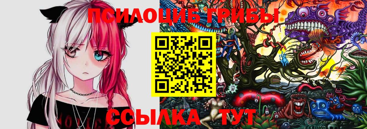 Омск  Галлюциногенные грибы прущие грибы  Псилоцибиновые грибы мухоморы  Вход с VPN 